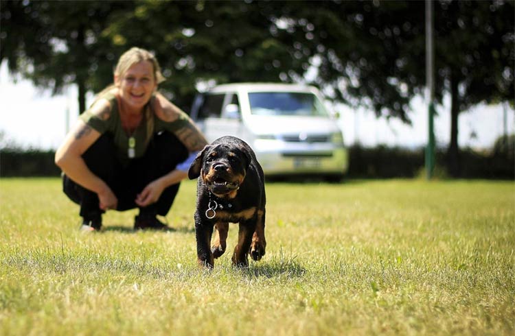 puppyproof huis